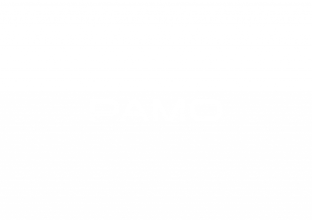 Pamo Cars - Cruisefire Partner