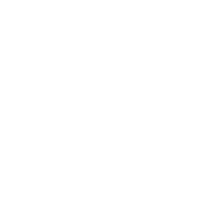 Dream Icon - Partner Cruisefire