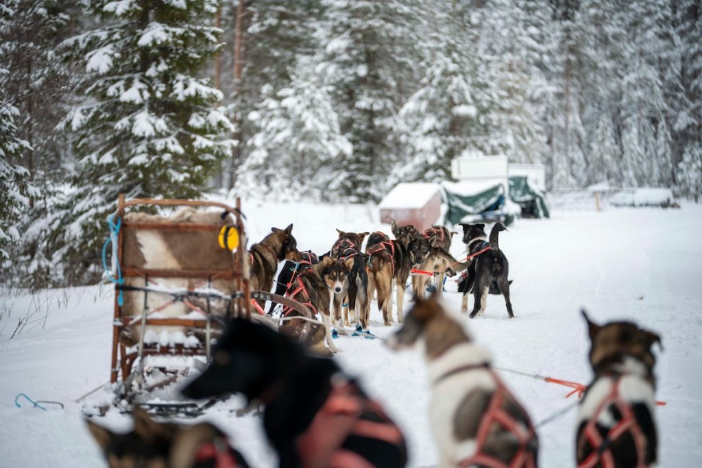 Cruisefire BELOW ZERO 2026 in Arvidsjaur Lappland – exklusives Arctic Adventure für Unternehmer und Sportwagen-Enthusiasten mit Drift, Schneemobil, Huskys und Spa
