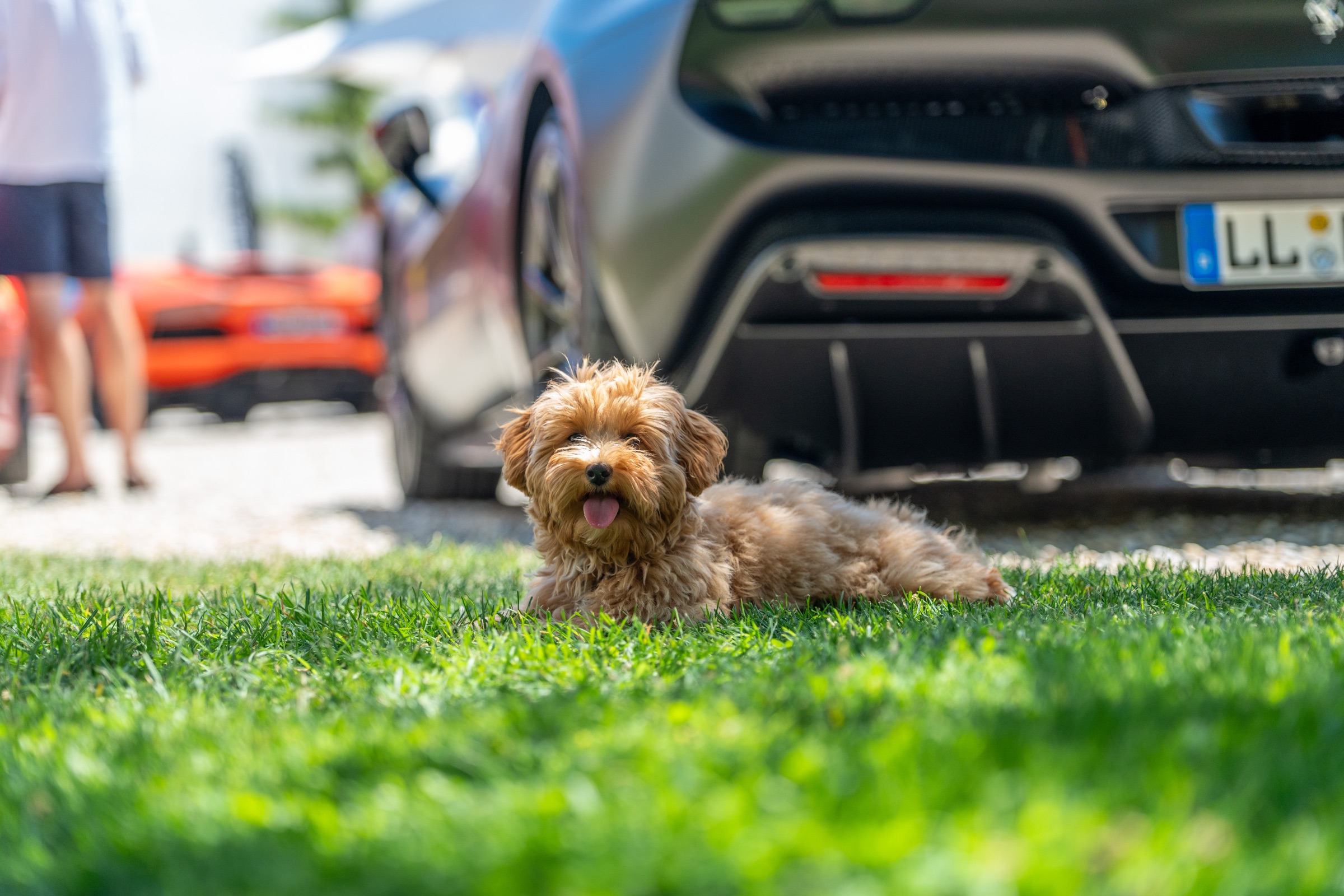 Concorso di Bavaria 2026