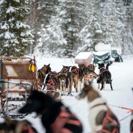 Cruisefire BELOW ZERO 2026 in Arvidsjaur Lappland – exklusives Arctic Adventure für Unternehmer und Sportwagen-Enthusiasten mit Drift, Schneemobil, Huskys und Spa